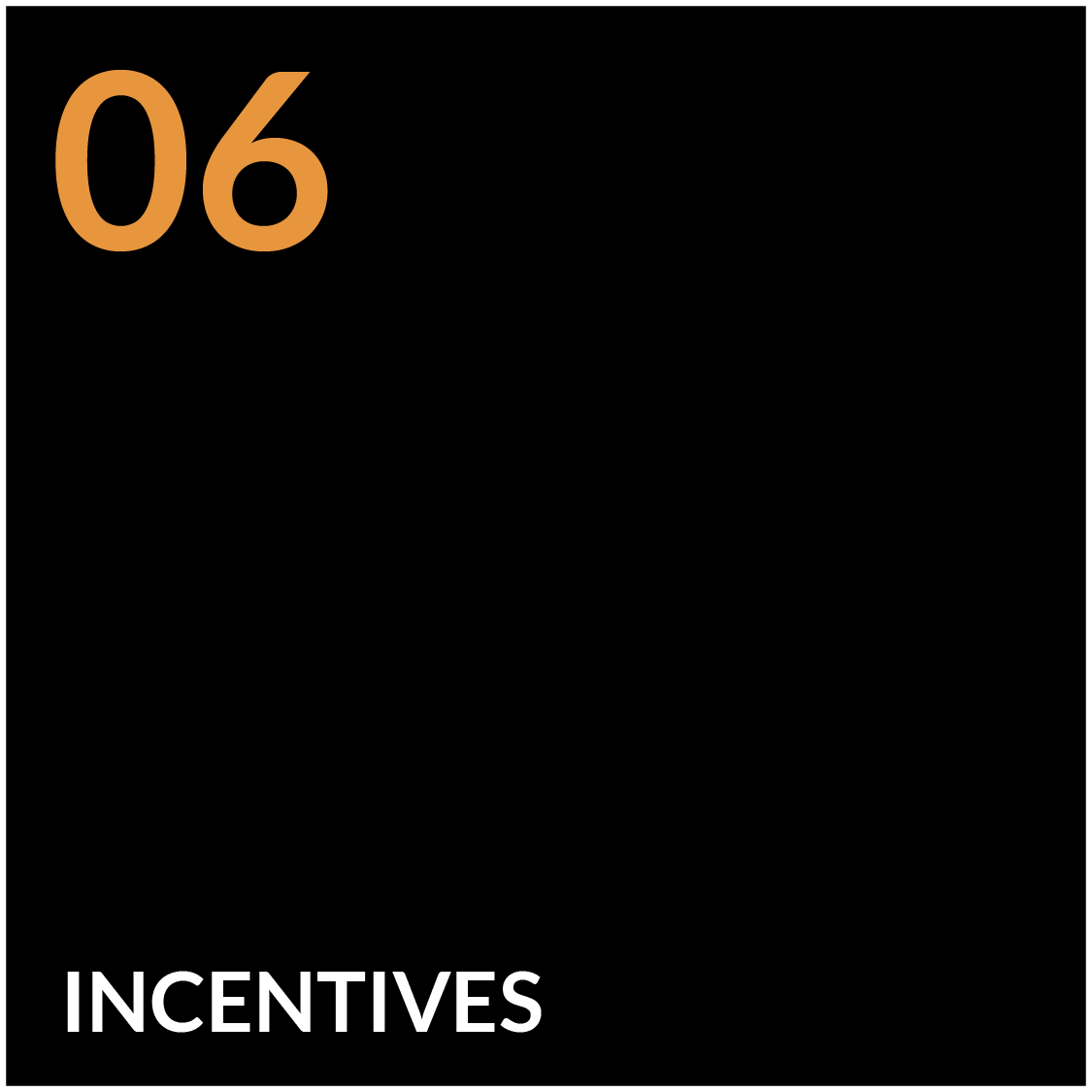 06 – Incentives